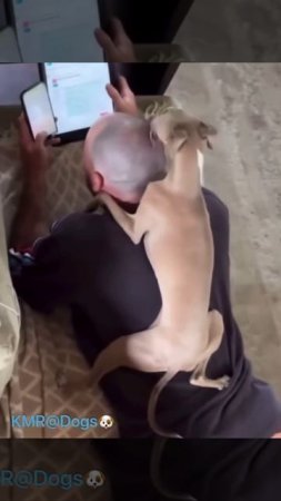 Чтобы папа был блестящим человеком😛😂