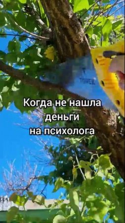 Когда не нашла деньги на психолога 😁
#психология #юмор #шутка