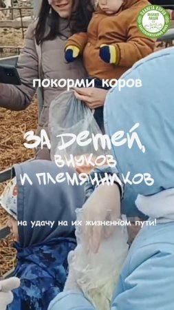 Сегодня 27 июня в 15:00 мск кормление коров за детей, внуков, племянников, студентов и выпускников