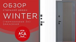 Стальная дверь Winter с терморазрывом. Заказная модель.