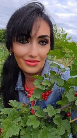 Красная смородина