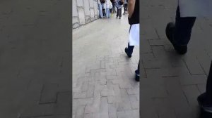 Стрим по зоопарку в Москве