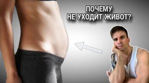 ПОЧЕМУ ТВОЙ ЖИВОТ НЕ УХОДИТ? 4 главных заблуждения, которые мешают тебе вернуть прежнюю фигуру. Урок