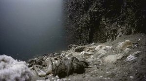 1000045432.mp4Волга гл.5м.27.06.2025г.