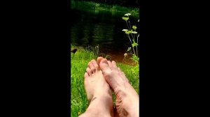 Летние истории