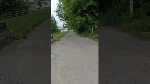 гуляю