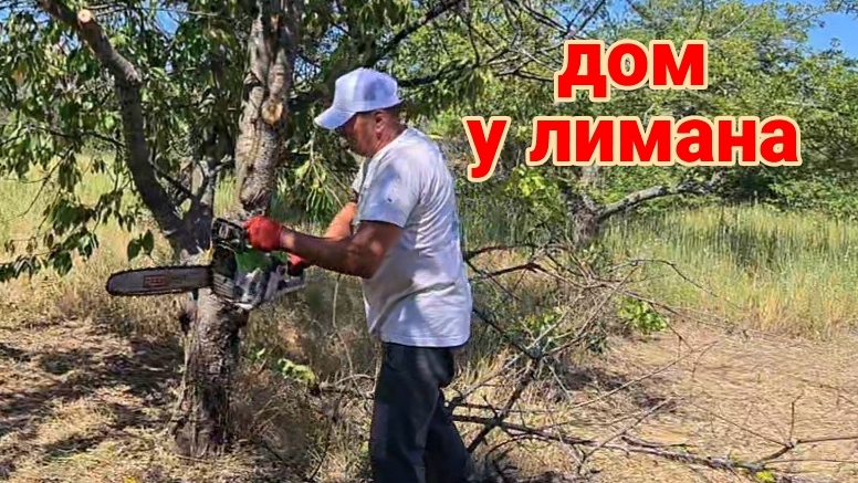 Ейск-Александровка. Едем косить. Ремонты. Урожай чеснока. Море, пляж.