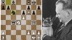 Эту КОМБИНАЦИЮ нашел даже КОТ Александра Алехина! Шахматы.