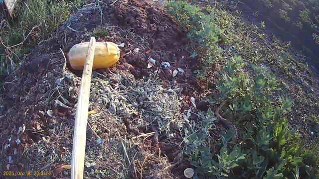 долгожданное видео с сравнением катан🫠