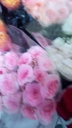 Набор цветов