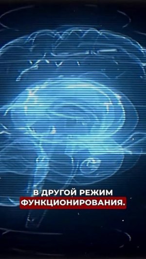 Секрет вечного счастья #подкастдимова #психолог #психология