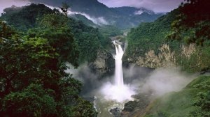 Дикая природа Амазонки 1 серия  «Колыбель жизни» | NAT Geo