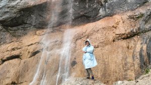 ВОДОПАДИСТЫЙ ВОДОПАД, ЛИЛИИ, ЛИС НА ДОРОГЕ