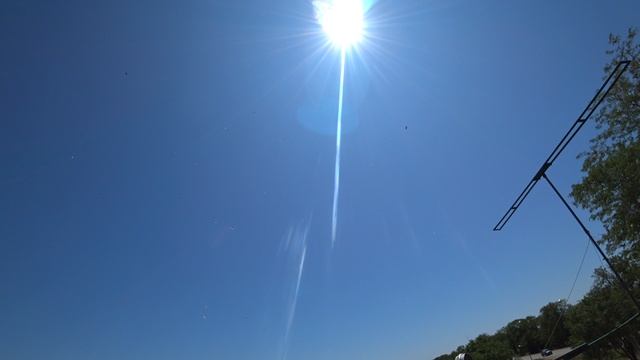 27.06.25 г. Андижанские голуби (3)