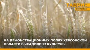 На демонстрационных полях Херсонской области высадили 23 культуры