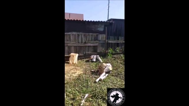 Братья из Русской Общины Коченево оказали поддержку супруге военнослужащего, участвующего в специаль