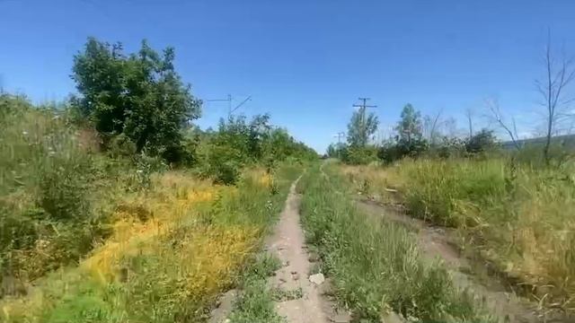 Природа какая она есть