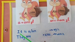 Articles a_an and make plural form