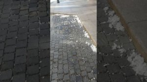 "Тополиный снег" кружится и не тает.