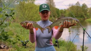 ОТДЫХ С РЫБАЛКОЙ в диком месте реки Нёман. Голавль на фидер. Готовлю ВКУСНО НА КОСТРЕ. #501