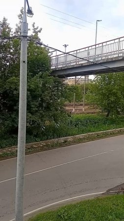 Иволга и Ласточка в Орехово-Зуево