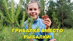 В лес за ГРИБАМИ на разведку!
