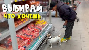 Ходим с собакой по разным магазинам. Проверяем выгонят или нет