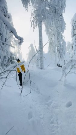 Когда обещали аномально-жаркое лето