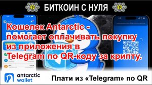 Кошелек Antarctic - помогает оплачивать покупку из приложения в Telegram по QR-коду за крипту.