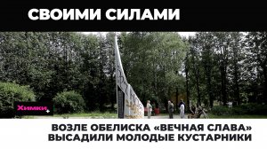ВОЗЛЕ ОБЕЛИСКА «ВЕЧНАЯ СЛАВА» ВЫСАДИЛИ МОЛОДЫЕ КУСТАРНИКИ
