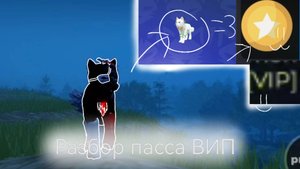 Обзор на пасс ВИП VIP/ сделала видео Потому что скучно :-(😅