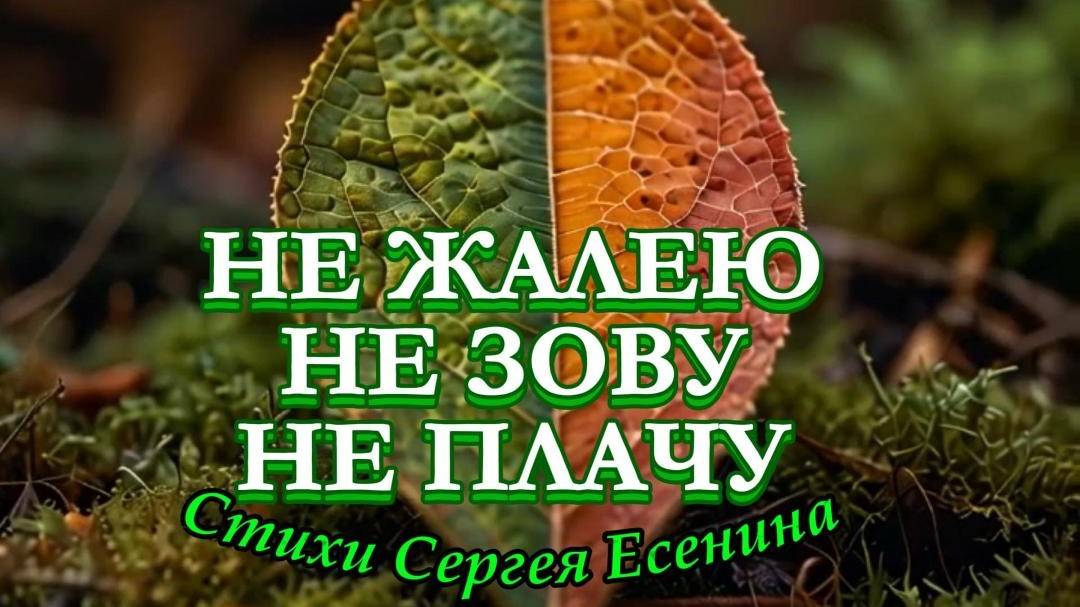 Нейроклип " Не жалею, не зову, не плачу..." стихи С. Есенин (1922 г.) версия 2. смотреть онлайн