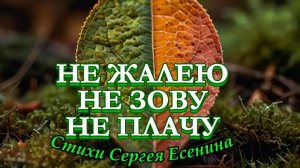 Нейроклип " Не жалею, не зову, не плачу..." стихи С. Есенин (1922 г.) версия 2.