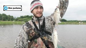 Рыбалка на КАРАСЯ. Рыбалка с ЛОДКИ. КАРАСЬ клюёт один за одним. Ставлю поставки на жмых. На озере.