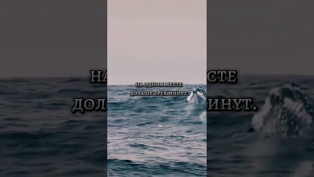 тенденции дня