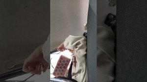 Показываю мои новые игрушки - кирпич и полено. А с чем любите играть Вы?