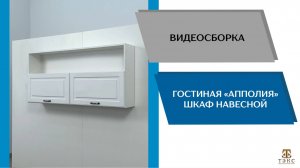 ТЭКС Видео сборка. Гостиная Апполия. Шкаф навесной.