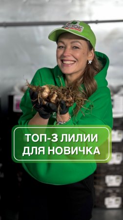 Топ-3 лилии для новичка 💚
