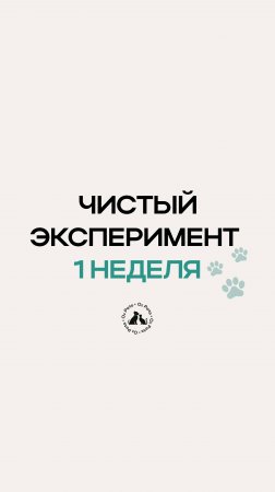 Чистый эксперимент: 1 неделя