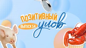 "Поросячий ад" и вековой лобстер. "Позитивный улов"