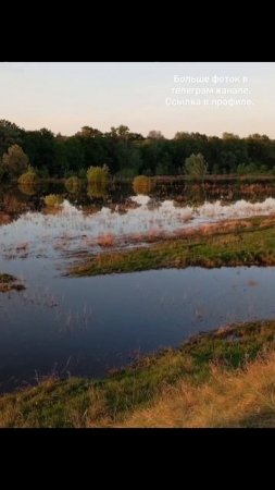 Разлив р. Ворона