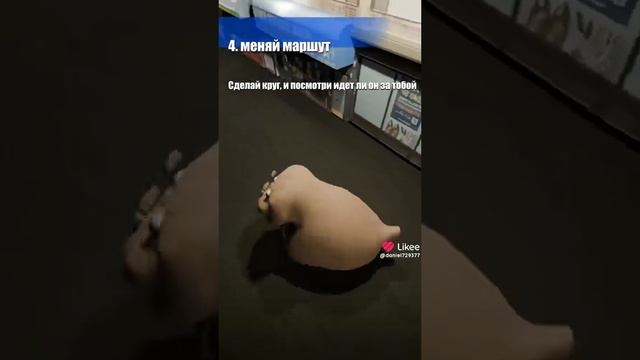 что делать если на вас напал маньяк