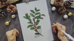 Мастер-класс по рисованию веточки падуба линерами и акварелью