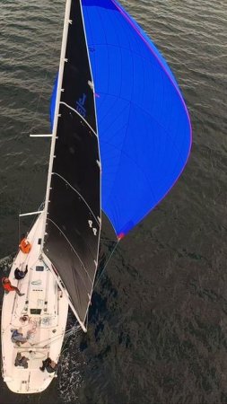 ⛵️ Красота под голубым парусом 🌊
Парусник с ярким голубым парусом грациозно скользит по волнам