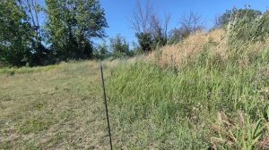 Приехал на маленький пруд, удочку согнул большой амур!!!