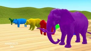 ИГРА С ЖИВОТНЫМИ | Горилла, Корова, Тигр, Лев, Слон