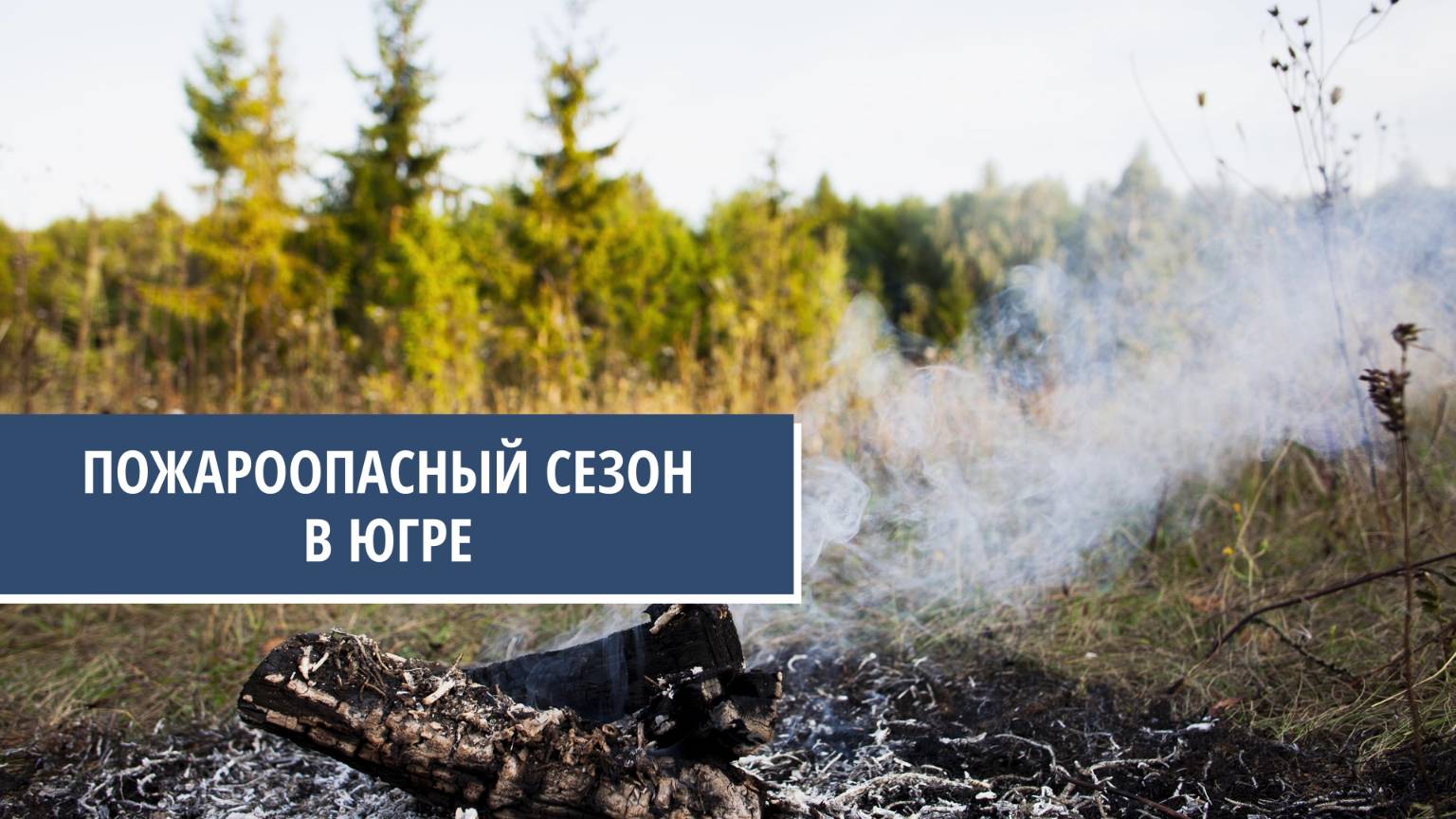 Югорчанам рассказали, что влияет на возникновение лесных пожаров
