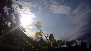 Наблюдение за Солнцем со двора. Выбран не очень хороший способ удержания видеокамеры, но ...