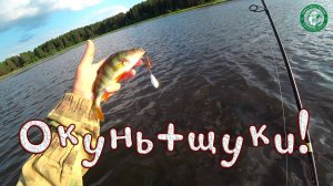 ОКУНЬ, ЩУКА НА СПИННИНГ В ИЮНЕ! РЫБАЛКА В БРОДНЯХ НА ВЕЧЕРКЕ У ДОМА НА КЛЁВОМ ПРУДУ, ЛОВИМ НА УРАЛЕ!