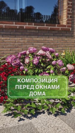 Цветник перед окнами вашего дома 🏡